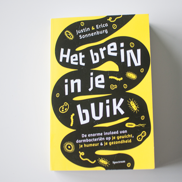 Het brein in je buik