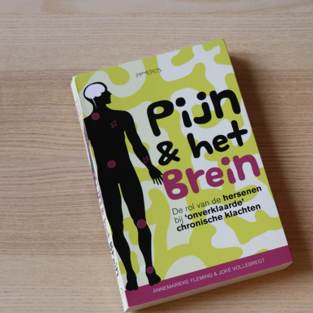 Pijn en het brein